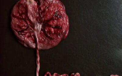 Beyond Birth: 4 Beautiful Ways to Honor Your Placenta