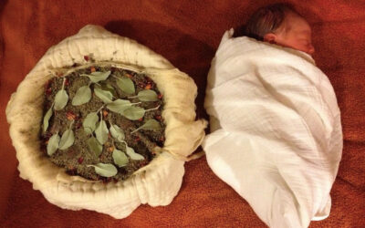 Lotus Birth: A Gentle Beginning