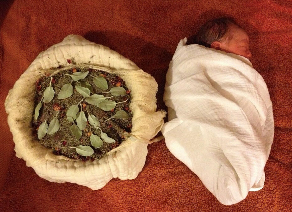 Lotus Birth: A Gentle Beginning